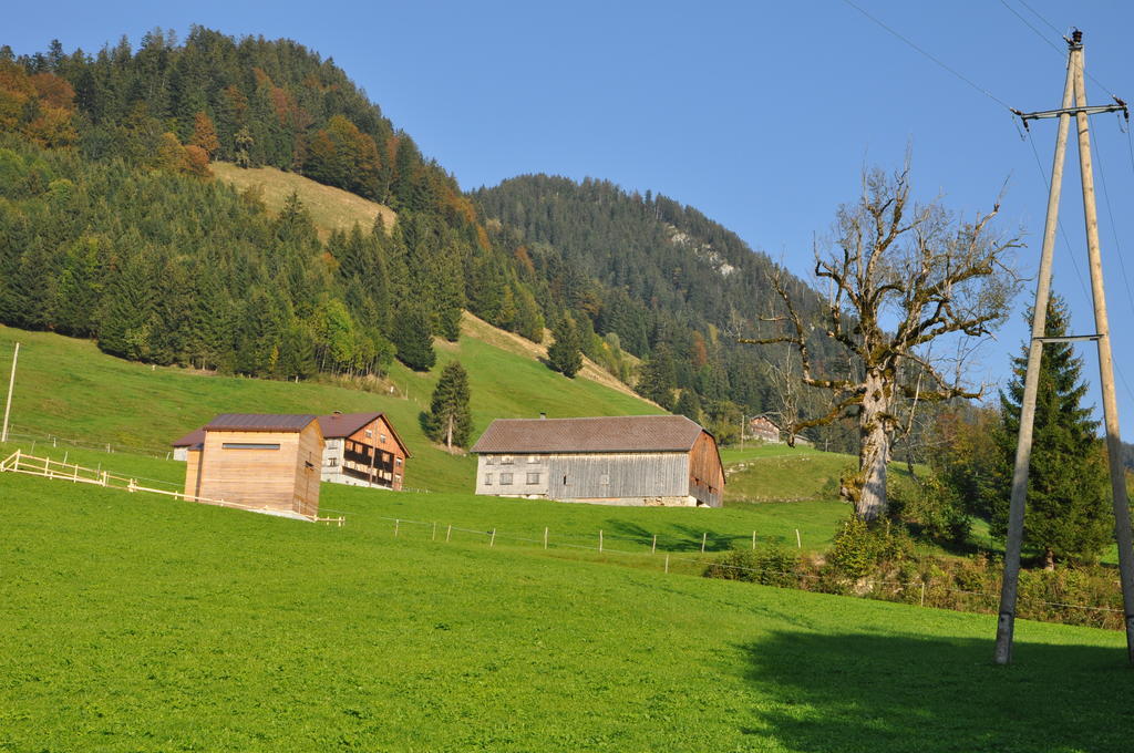 Gaestehaus Graf Bezau Room photo